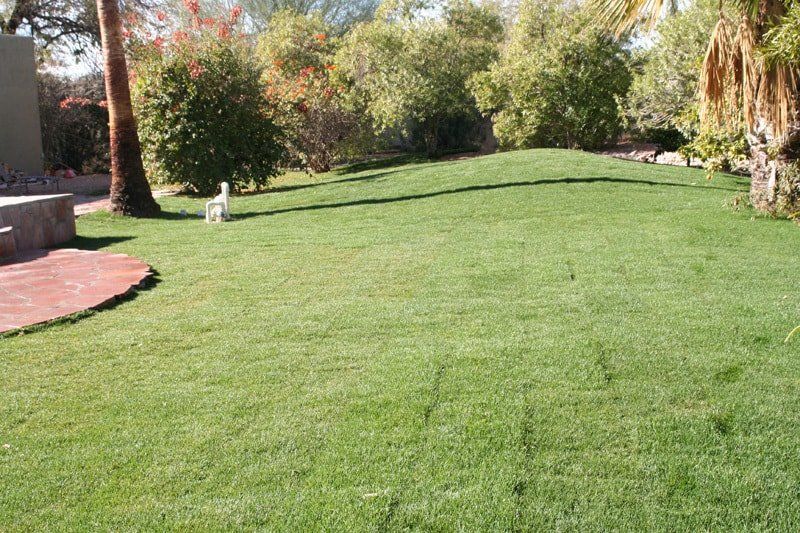New Lawn Installed at a San Antonio Residential Home