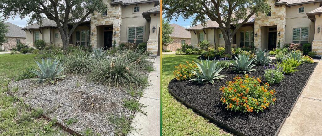 Before-and-after front yard mulch refresh at luxury Texas home, landscape design with clean edging