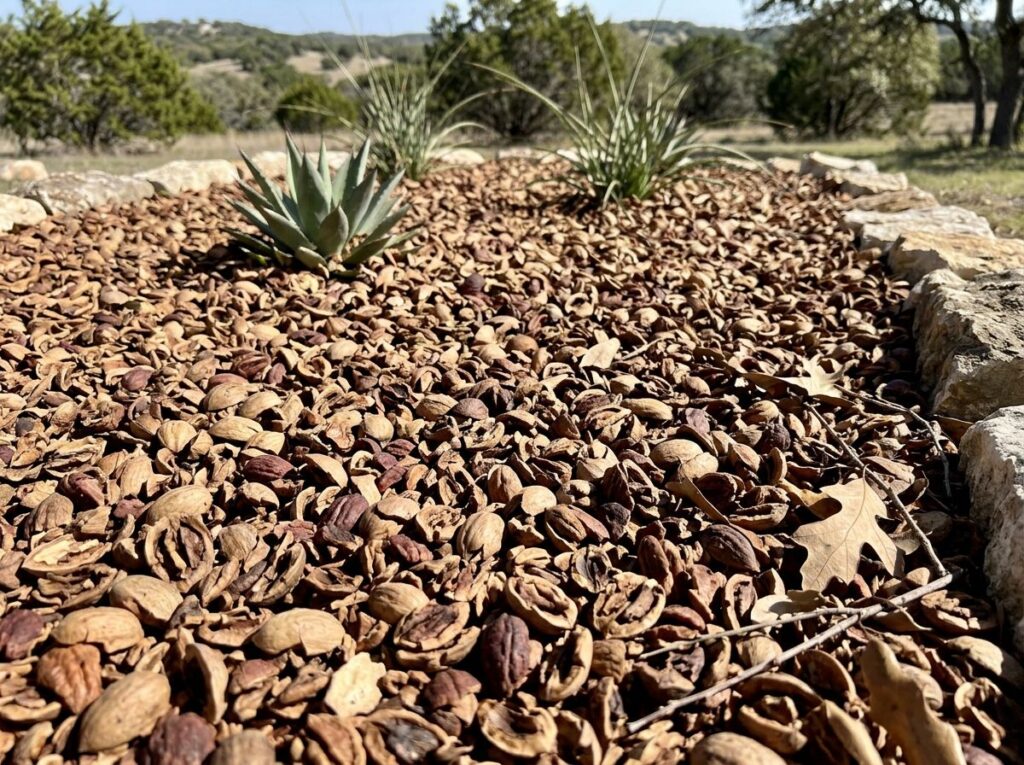 Pecan Shell Mulch ground cover in a close-up pile, showing rich brown, flaky shells for landscaping beds.