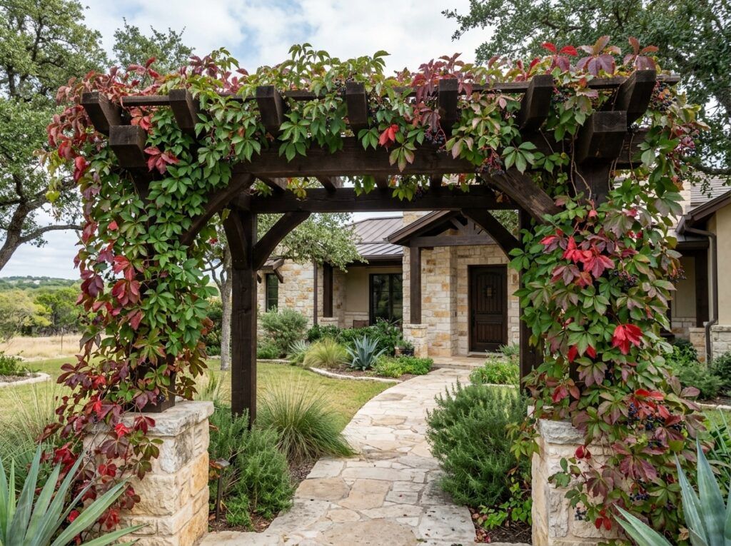 Virginia Creeper vine with lush green, five-lobed leaves climbing up a support outdoors.
